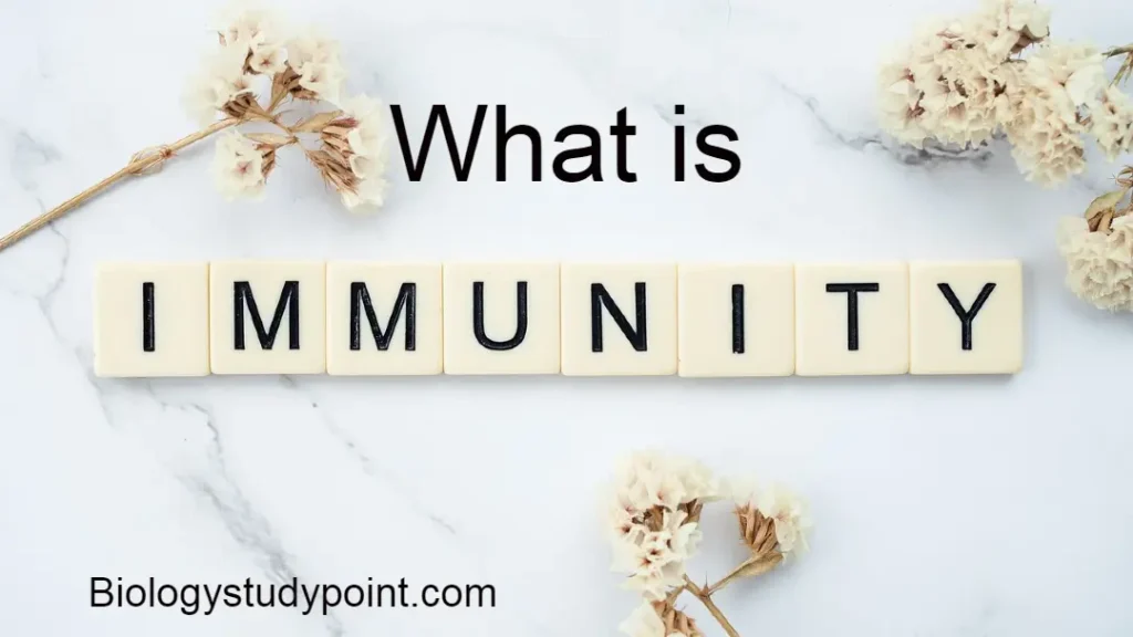 What is immunity? 