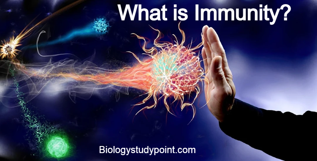 What is immunity?
