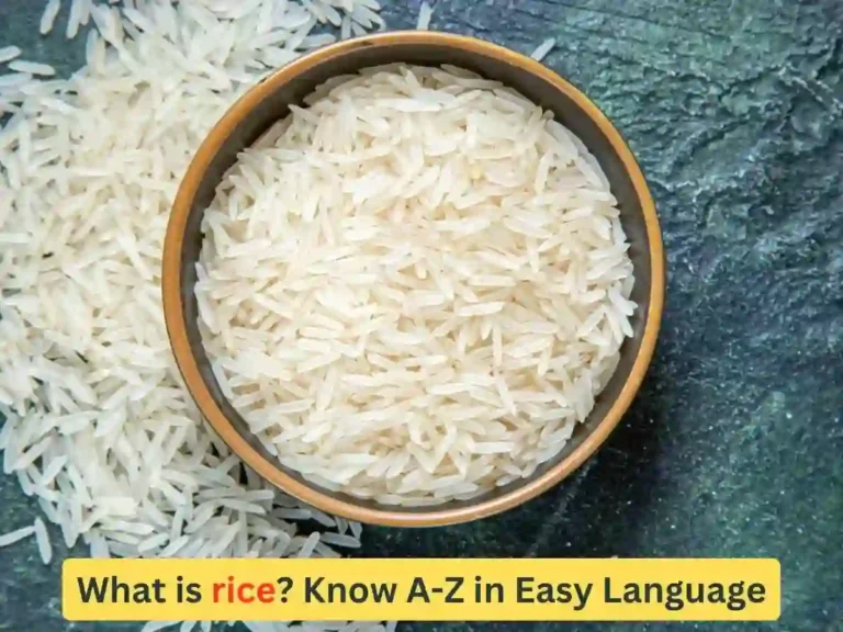 what is rice