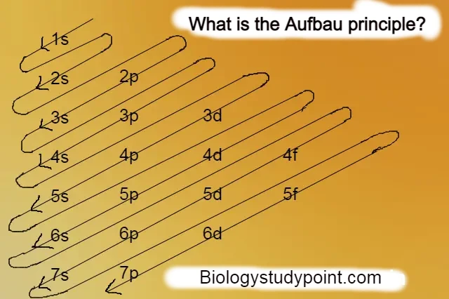 aufbau principle