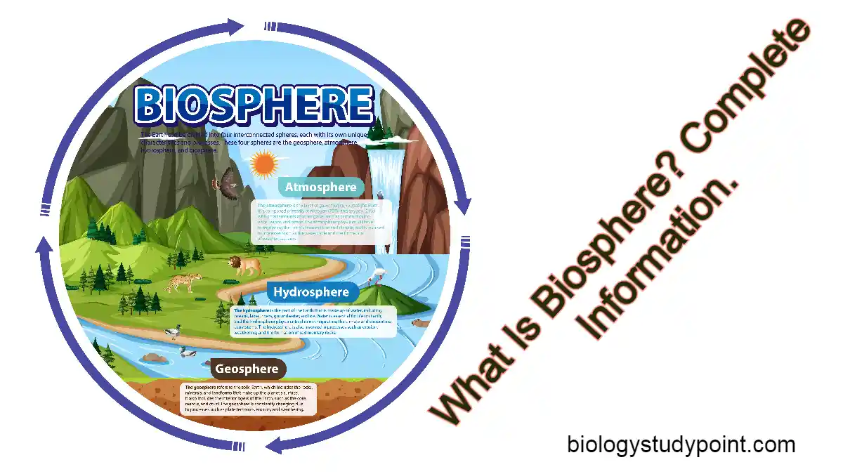 what is the biosphere