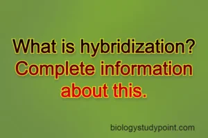 what is hybridization