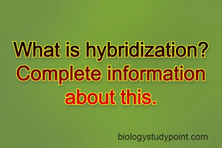 what is hybridization