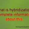 what is hybridization