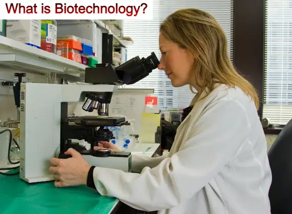 what is Biotechnology