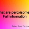 peroxisomes definition