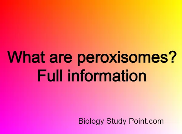 peroxisomes definition