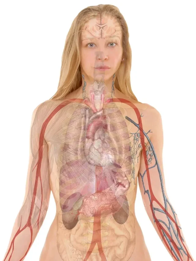 What is Biology | Definition, Branches, Father, full information
