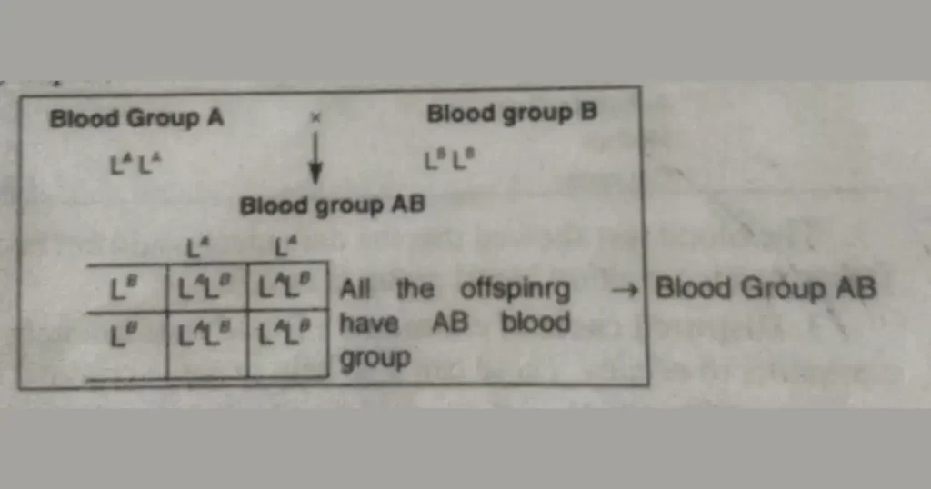 What are multiple alleles