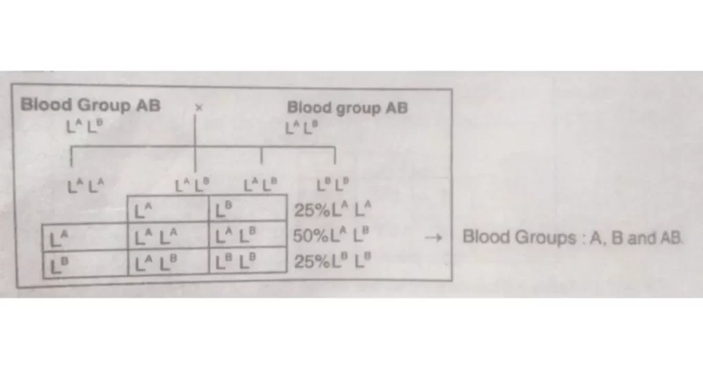 What are multiple alleles