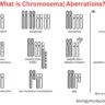 chromosomal aberrations