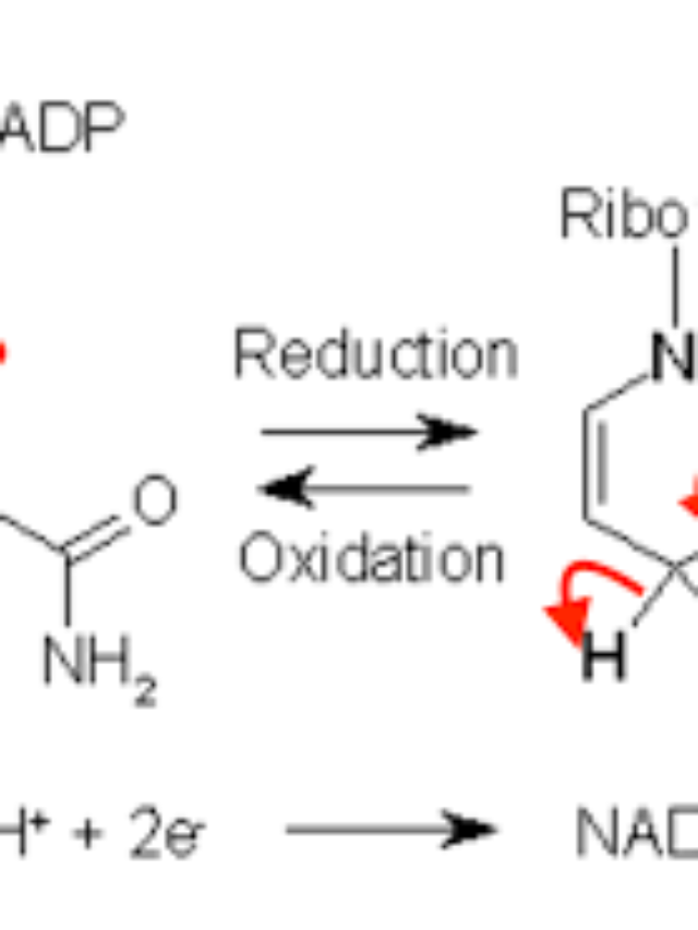 oxidation reduction