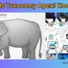 what is taxonomy apex
