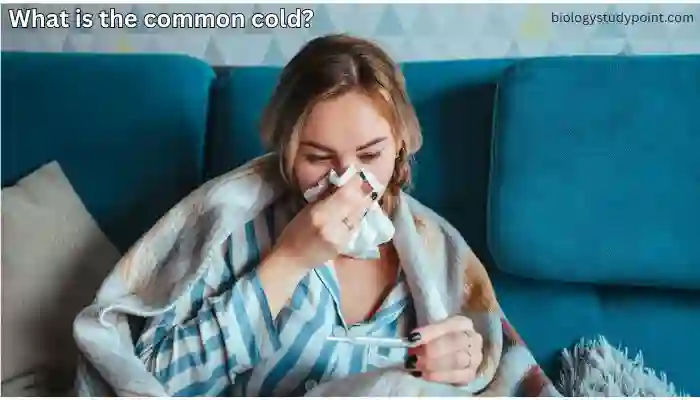 common cold