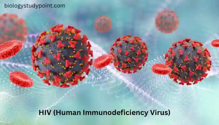 What is HIV Virus, what is AIDS