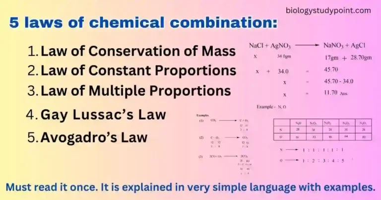 What are the 5 laws of chemical combination