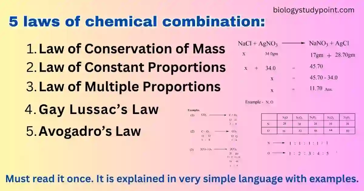 What are the 5 laws of chemical combination