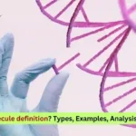 What is a biomolecule definition?