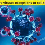 Why are viruses exceptions to cell theory