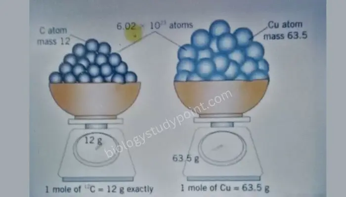 mole concept