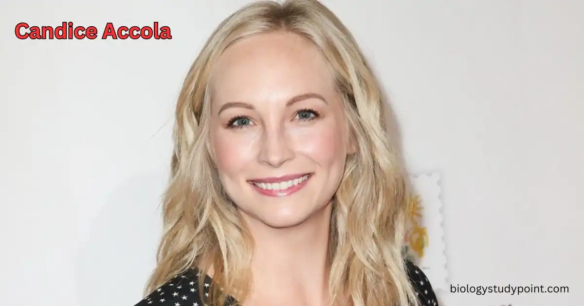 Candice Accola: Bio, Wiki, Net Worth, Age, Figure, Learn A-Z