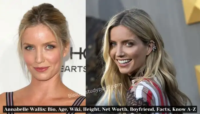 Annabelle Wallis