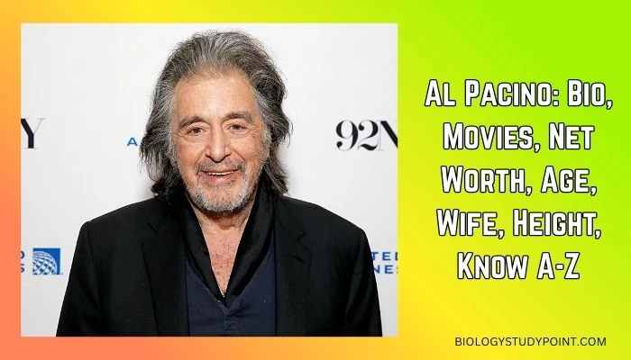 Al Pacino Bio,
