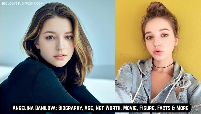 Angelina Danilova: Biography, Age, Net Worth, Movie, Figure, Facts & More