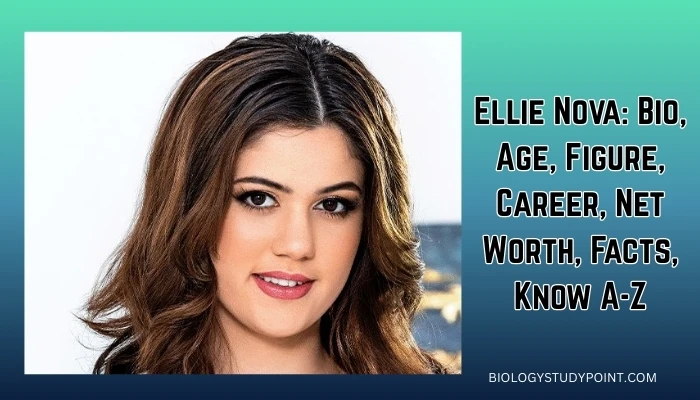 Ellie Nova: Bio, Age, Figure, Career, Net Worth, Facts, Know A-Z